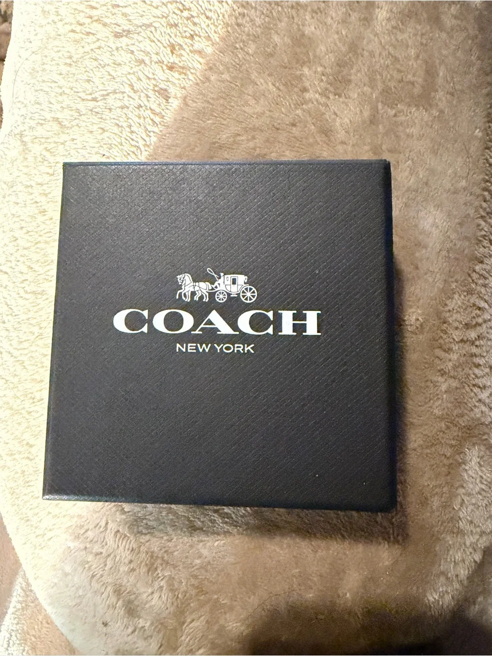 Coach earrings and necklace set nwt